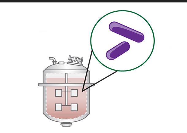 Microbial Biosynthesis