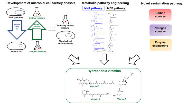 Research: Microbial Biosynthesis – DiSTAP